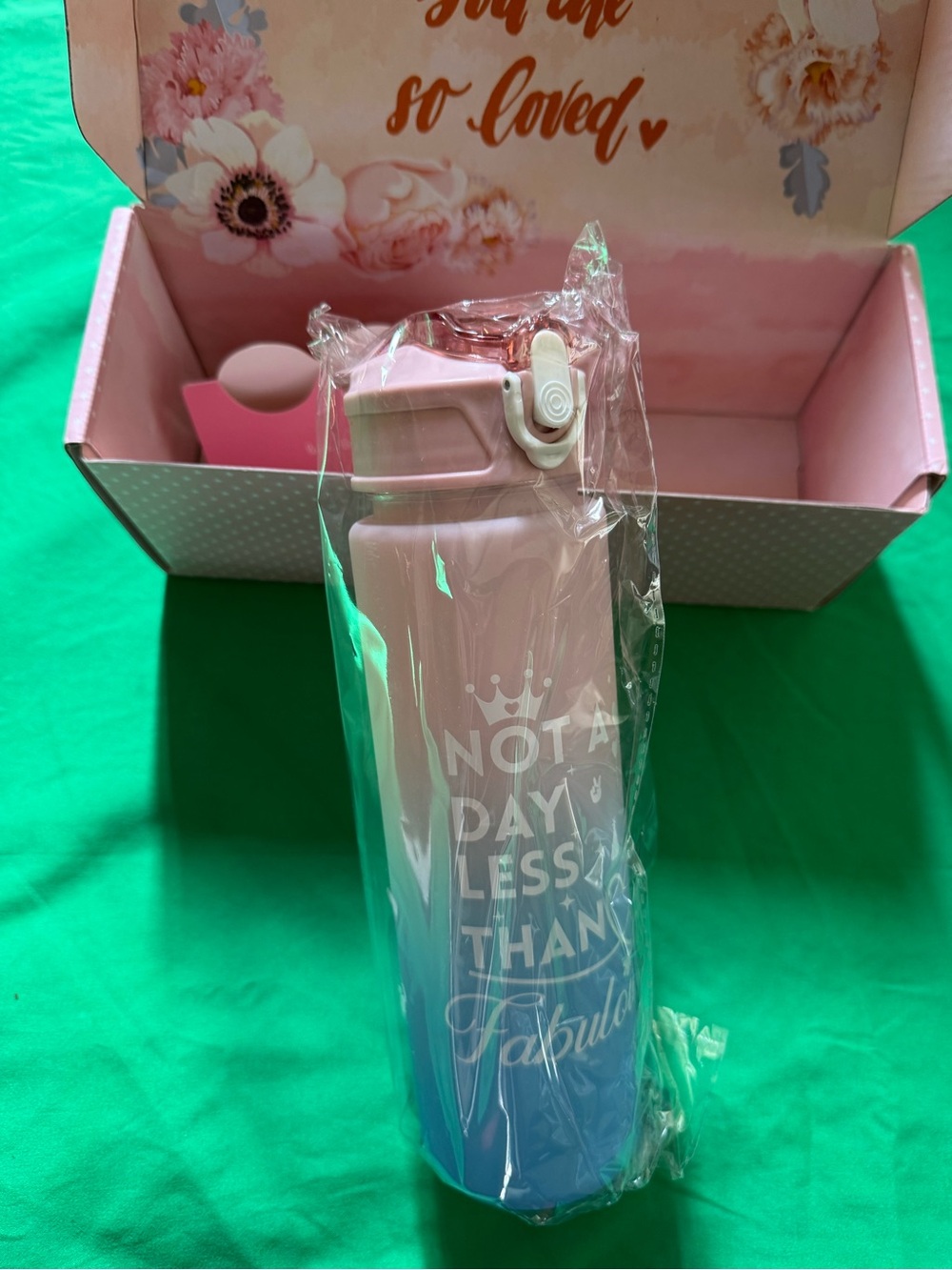 Pink to Blue Ombre plastic Water Bottle - 'Not a Day Less Than Fabulous' NWT